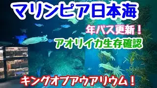 2024年2月14日 新潟市水族館 マリンピア日本海へ 年パス更新！今年もいっぱい楽しみます アオリイカは今