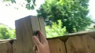 Wood fence prepped and fully dry by TLC pressure washing