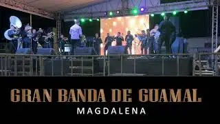 MAGENTA(porro palitiao) GRAN BANDA DE GUAMAL.