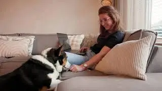 K9 Shop, de online dierenspeciaalzaak