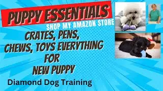 Puppy Essentials for New Puppy: Must-Haves For Your New Pup