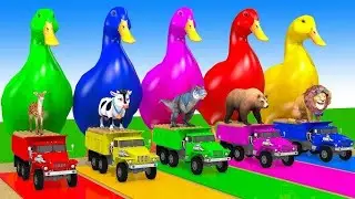 Baby Learn Colors Fast | Ducks & Animal Trucks Video | Preschool Colors Learning