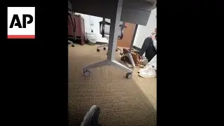 Video shows students in fear and panic during FSU shooting