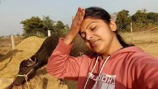 Ye sab kya karna pad raha bhai 😲🤣 | prahi vlog | 