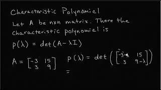 The Characteristic Polynomial