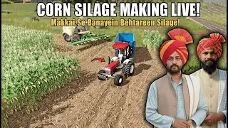 Corn Silage Making Live: Makkai Se Banayein Behtareen Silage!