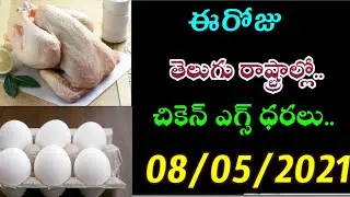 08-05-2021 Today Chicken Eggs Rates IN Andhrapradesh, Telangana | Today's  Chicken rate | LIVE