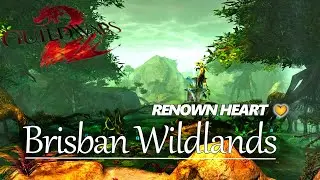 Guild Wars 2 - Brisban Wildlands: Renown Heart (16/16)