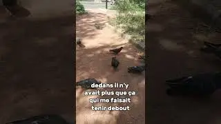 &Agrave; celui qui a mon disque dur&hellip; rends-moi ma vie #histoirevraie  #objetperdu #sos #solidarite