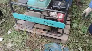 Бензиновый генератор EISEMANN P 10001 E