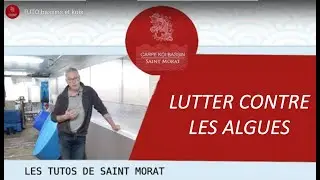 TUTO bassin et carpe koi : comment lutter contre les algues filamenteuses qui envahissent tout. .