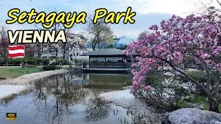Spring Walk in Setagaya Park | Japanese Garden in Vienna | May 2025 [4K]