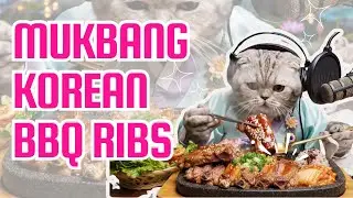 ASMR Кот ест корейские BBQ-рёбрышки 🍖 Мукбанг
