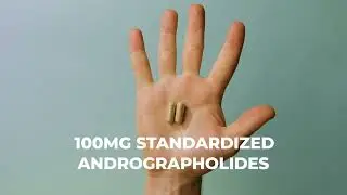 NATURAL CURE LABS ANDROGRAPHIS