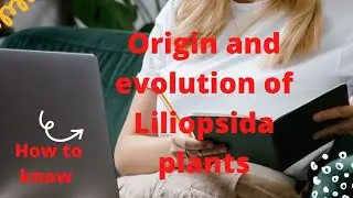 How to know Origin and evolution of Liliopsida plants