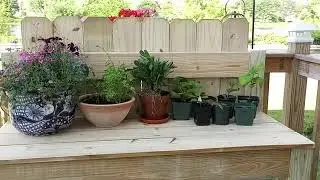 Potting bench # gardening # flowers # Summertime # Making our home beautiful .