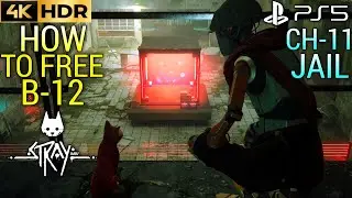 Jail How to Free B-12 STRAY Jail Puzzle | STRAY Free B 12 Robot | Stray Jail Rescue B 12 | STRAY PS5