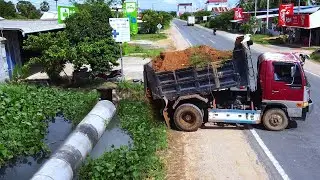 First Start Amazing PROJECT!! LANDFILL Delete Drain Sewer In Flooded Area By D20p DOZER & 5Ton Truck