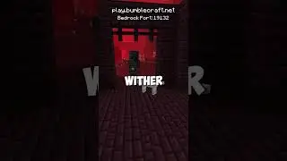 minecraft's food chain