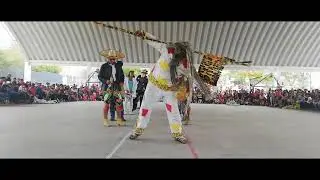 Tecuanes de Tetelpa. En alpuyeca. 2019 búsqueda del tigre // florentino Sorela. 🐆🐆