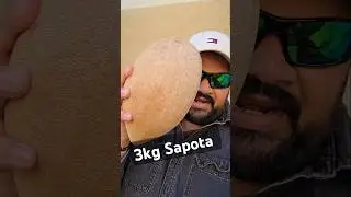 3 కేజీల sapota fruit, Mamey sapote, tropical strange fruit, food shorts