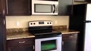 Windsor on the Lake Apartment Austin small 1 br