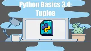 Python Basics Tutorial #3.4 | Tuples