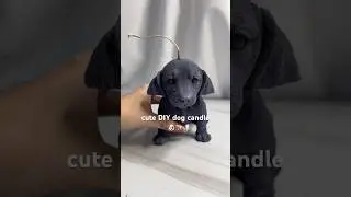 🕯️This is a candle?? NO WAY🐶✨#candle #candles #candlemaking #diy #candlebusiness #cute #asmr #dog