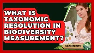 What Is Taxonomic Resolution In Biodiversity Measurement? - Explaining Ecology