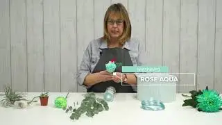 Ep13 Introduction to Colorstrology Fair Aqua Flower Varieties