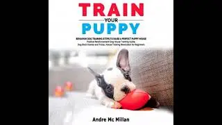 Train your puppy: Behavior Dog Training Steps to Raise a Perfect Puppy House &ndash; Positive