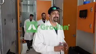 Exclusive Preview - Grodan X Phat Panda visits the Miami Mango Facility