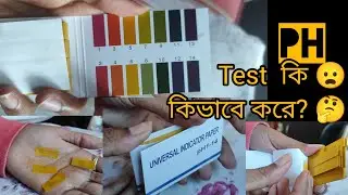 what is ph level? 🤔 ph level কাকে বলে ? কিভাবে  ph paper use করে? #everyone #viralvideo #minivlog