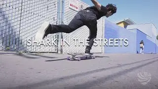 SHARK IN THE STREETS | Ari Chamasmany