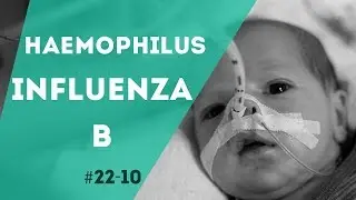 PNN 22.10 - L'Haemophilus Influenza B