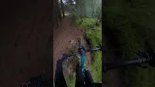 Liarlund🤘🏻🤘🏻#focusbikes #mtb #smalljump #ridebeyond #bike #mtblife #gopro #gopromax #mucoff #pov