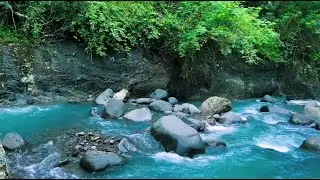 Tranquil River Ambience – Soothing Water Sounds for Sleep, Study & Deep Relaxation