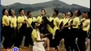 Indi Thriller