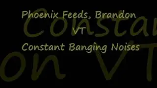 Phoenix Feeds, Brandon VT Constant Banging Noises