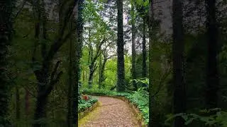 Peace that nature gives us/ Relaxing