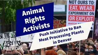 Animal Rights Activists Push Initiative to Ban Denver Meat Processing Plants