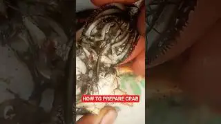 How to Clean and Prepare a Crab 🦀 | African Food Short #animals