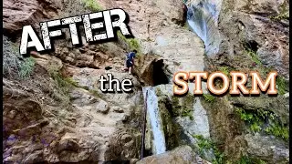 Black Star Canyon Falls Silverado Canyon CA | Best OC Waterfall Hike After a Heavy Rainfall