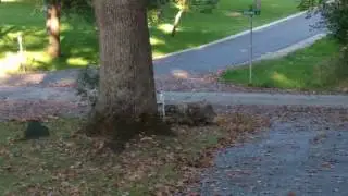 First time without training wheels