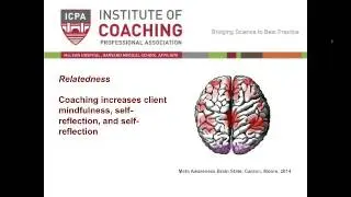 Webinar Coaching Science in Motion: Translating SDT into Coaching Practice