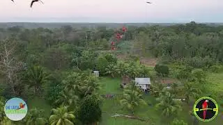 Join the Solidarity Team March 2026 - Saving Scarlet Macaws