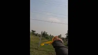 Slingshot Hunting Birds Catch For Birds Recipe