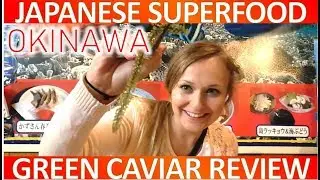 🍣🍲 OKINAWA FOOD GREEN CAVIAR (SEA GRAPES) 🍢 Must Try Japanese Superfood Snack🥢 沖縄県海ぶどう