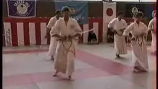 Takeda Ryu Soke Nakamura Hisashi, France 1993