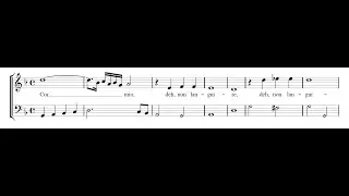 GIOVANNI GHIZZOLO: Cor mio, deh, non languire PDF SCORE
